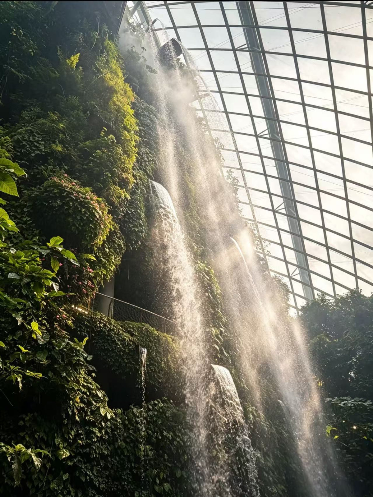 Singapore Private Chartered Tour Art Museum Tree Tunnel,