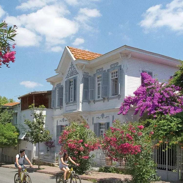 Istanbul Princes' Islands Day Tour with Hotel Pickup and Lunch