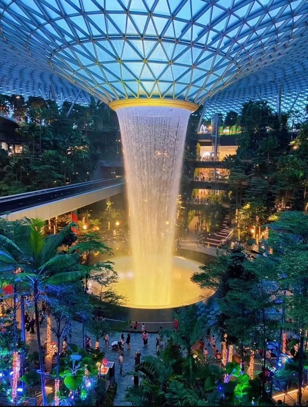 Singapore Private Chartered Tour Art Museum Tree Tunnel,
