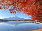 Solo-Friendly 1-Day Mount Fuji Tour from Tokyo