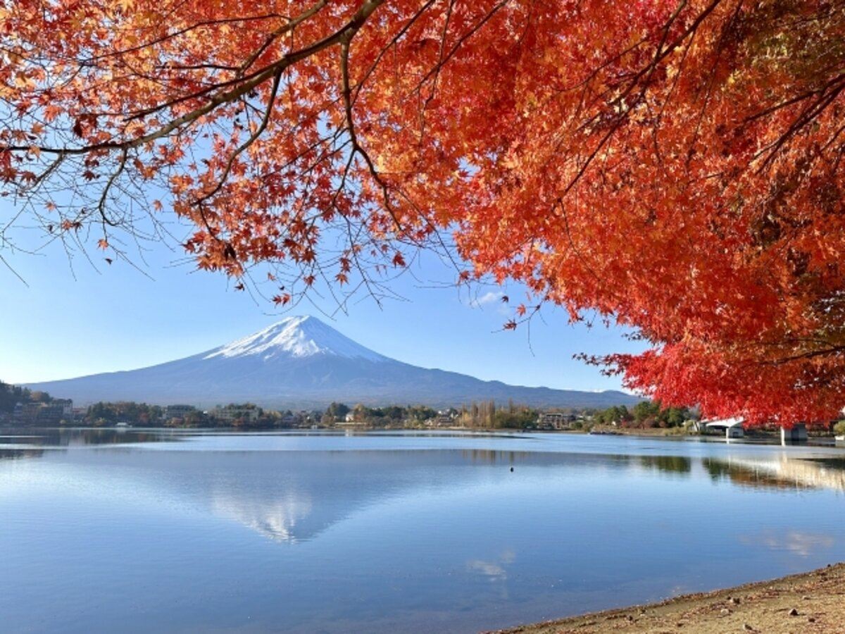 Solo-Friendly 1-Day Mount Fuji Tour from Tokyo
