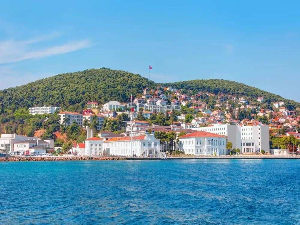 From Istanbul: Full-Day Princes’ Island Tour with Lunch