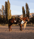Cappadocia Sunset Horse Riding