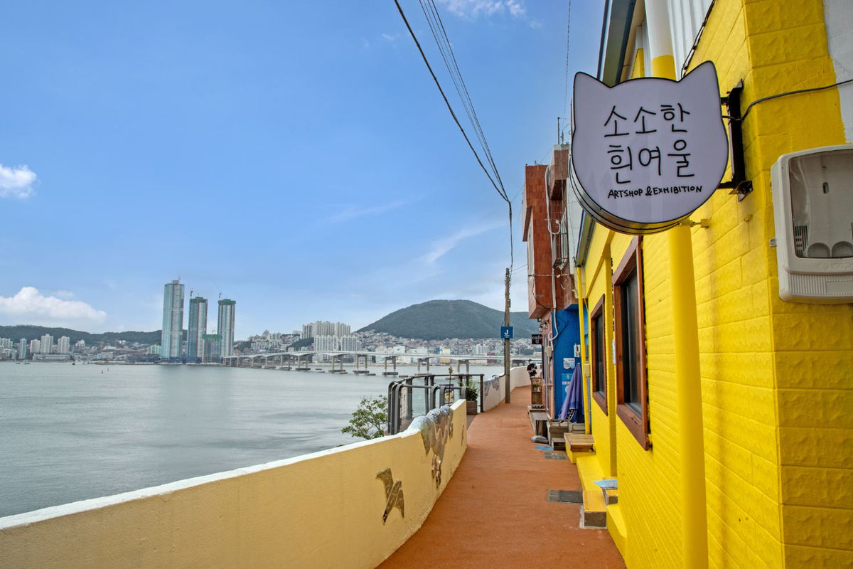 Discover the best of Busan on an one-day city tour