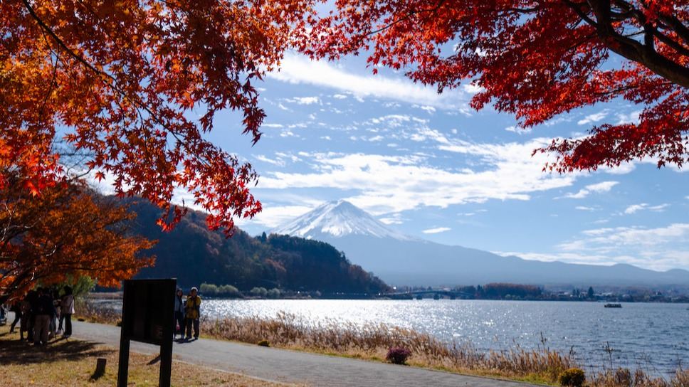 Solo-Friendly 1-Day Mount Fuji Tour from Tokyo