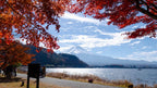 Solo-Friendly 1-Day Mount Fuji Tour from Tokyo
