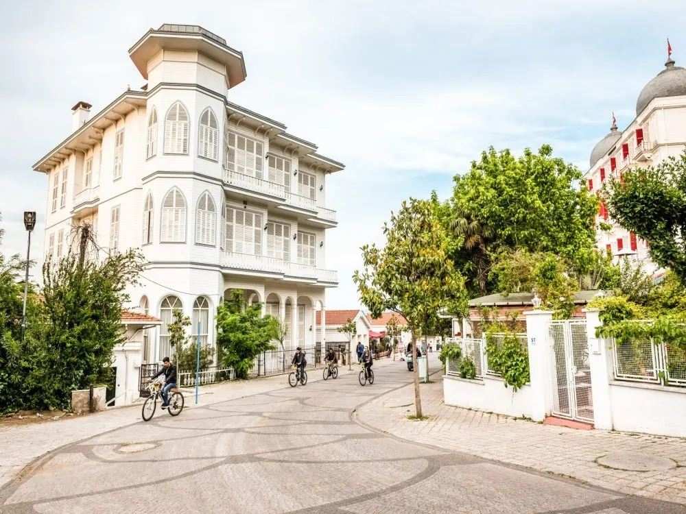 From Istanbul: Full-Day Princes’ Island Tour with Lunch