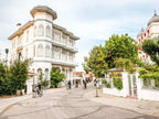 From Istanbul: Full-Day Princes’ Island Tour with Lunch
