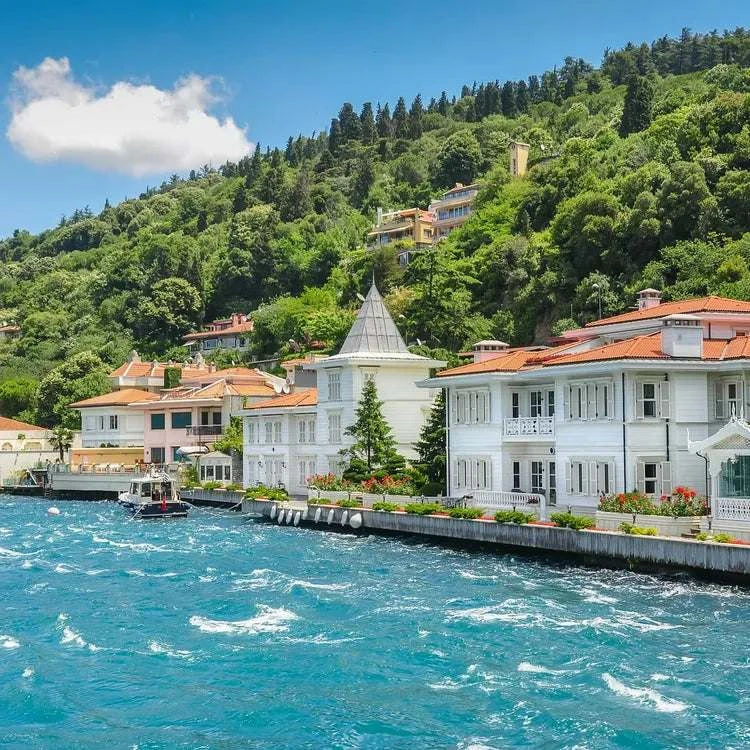 Istanbul Princes' Islands Day Tour with Hotel Pickup and Lunch