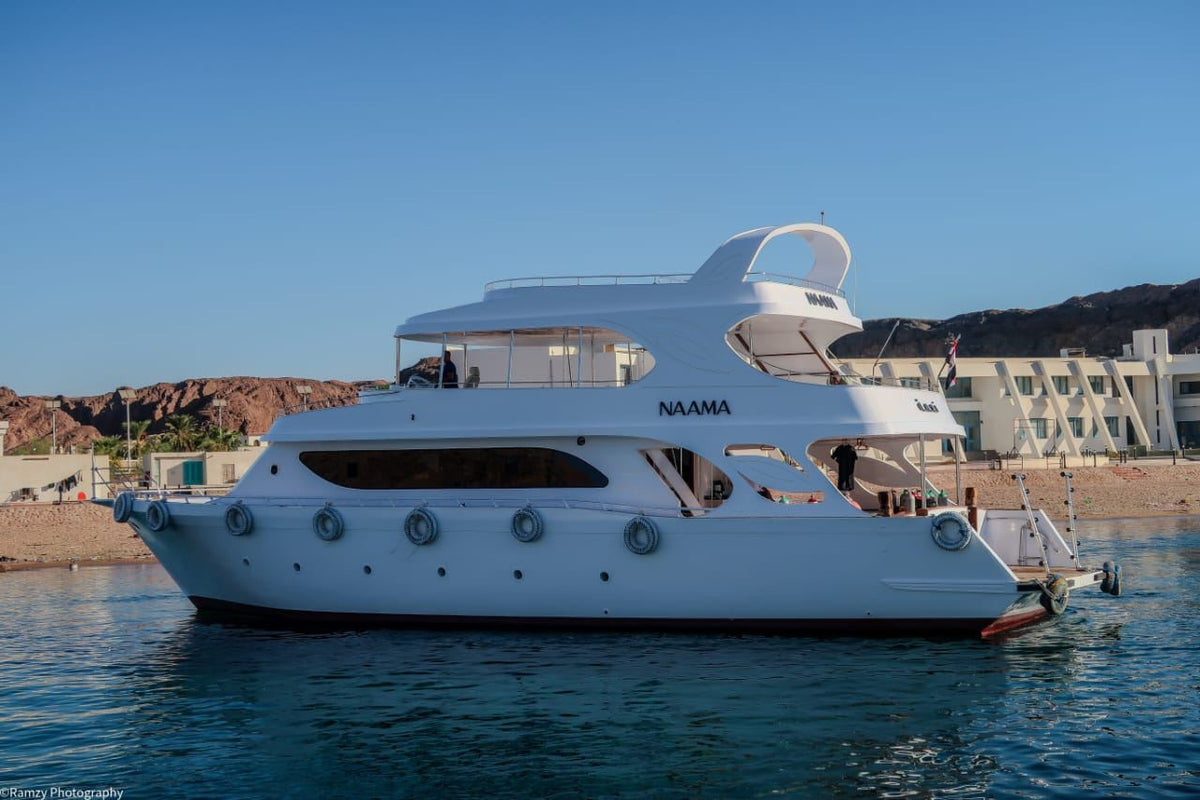 Snorkeling Trip to White Island Ras Mohammed in Sharm El Sheikh