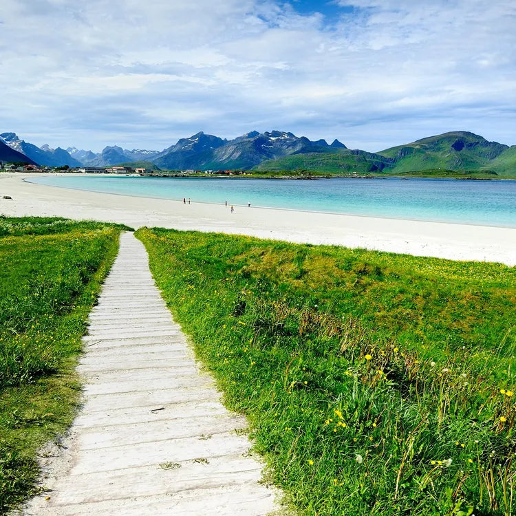 1 day tour to Lofoten Island the yellow house