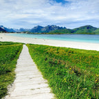 1 day tour to Lofoten Island the yellow house
