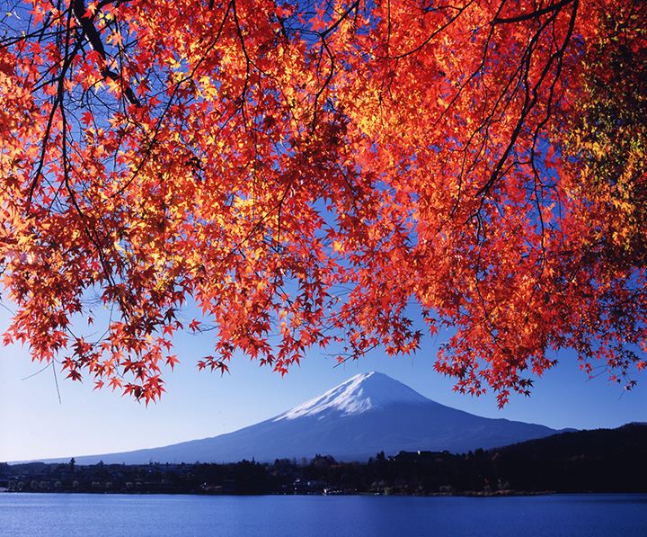 Solo-Friendly 1-Day Mount Fuji Tour from Tokyo