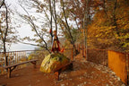 Discover the beauty of South Korea with a Nami Island