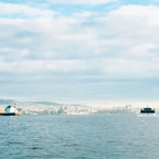 Oslo Scenic Fjord Cruise with Audio Guide Commentary