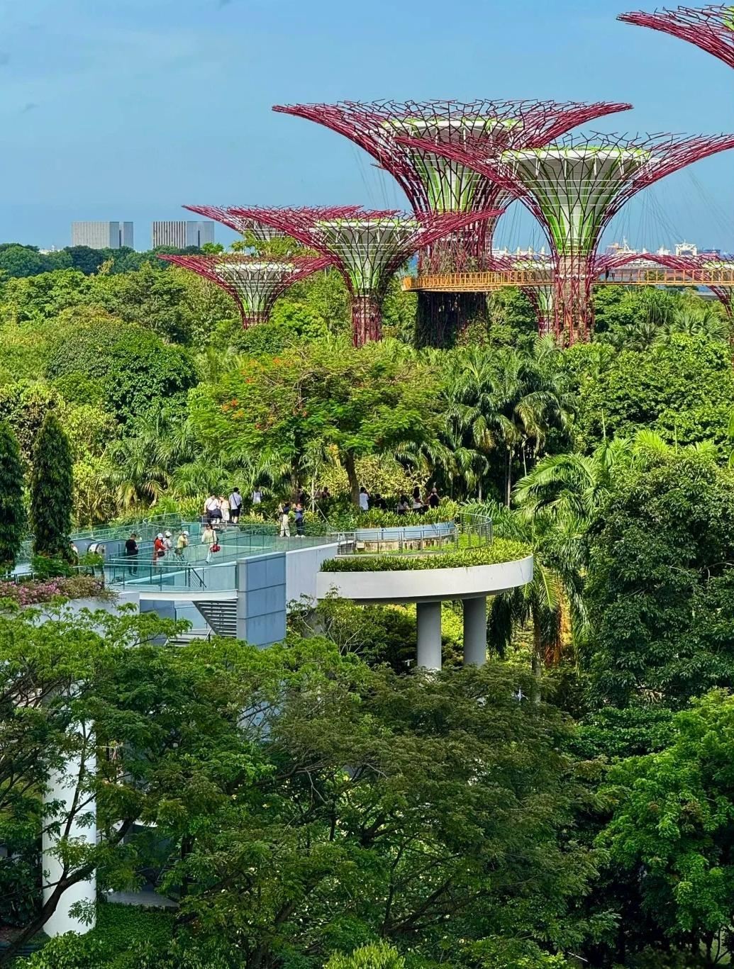 Singapore Lion City Tour  Explore 12 Major Landmarks