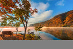 Discover the beauty of South Korea with a Nami Island
