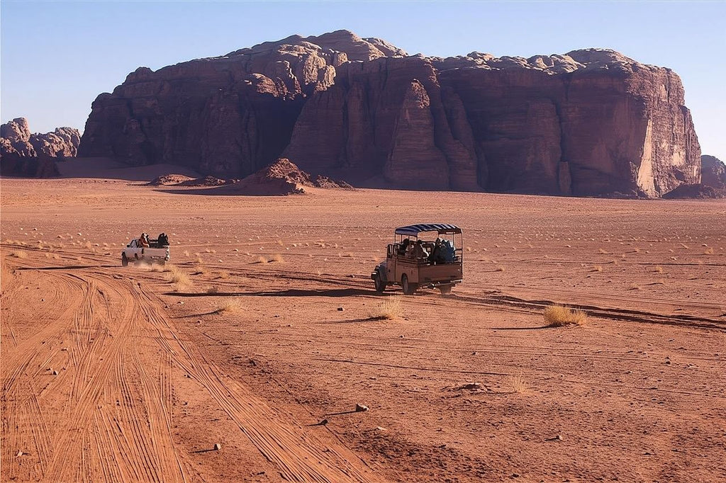 Full Day Private Trip to Petra and Wadi Rum, Jordan