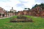Rome Colosseum Guided Tour with Roman Forum and Palatine Hill