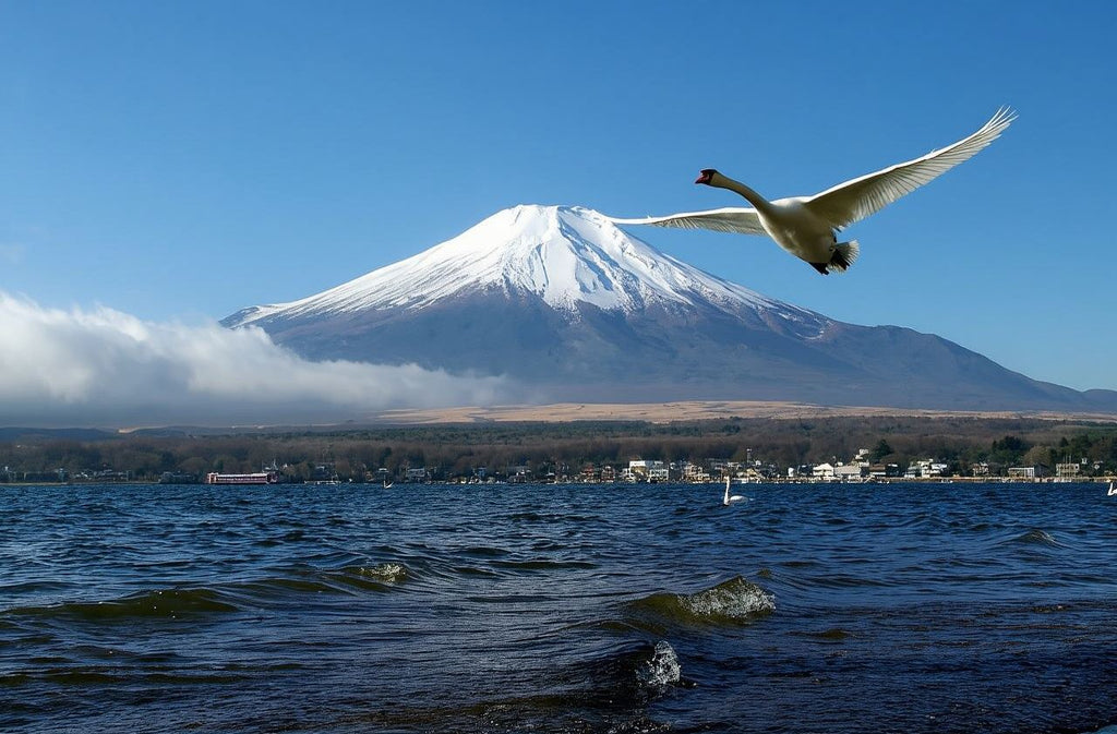 Solo-Friendly 1-Day Mount Fuji Tour from Tokyo
