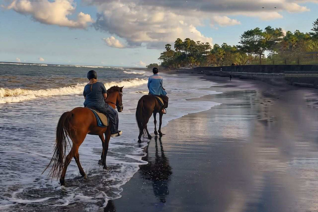 Horseback Riding Experience at Bali's Black Sand Beach