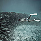 From Cebu Oslob Whale Shark Encounter Sardine Run Full-Day Marine