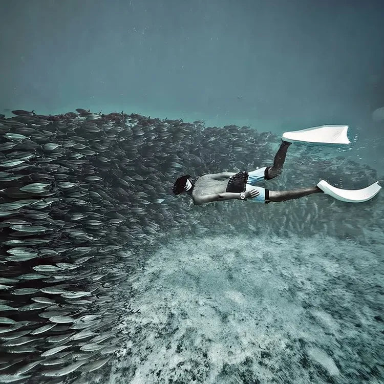 From Cebu Oslob Whale Shark Encounter Sardine Run Full-Day Marine