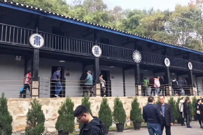 Chongqing 1-Day Tour Yangtze River Cableway Light Rail