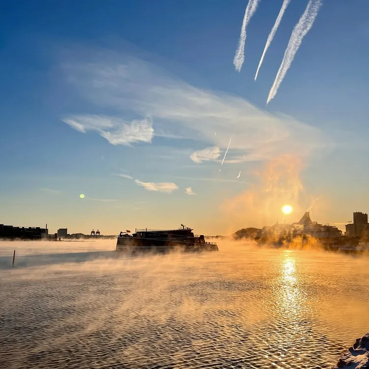 Oslo Scenic Fjord Cruise with Audio Guide Commentary