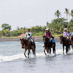 Horseback Riding Experience at Bali's Black Sand Beach