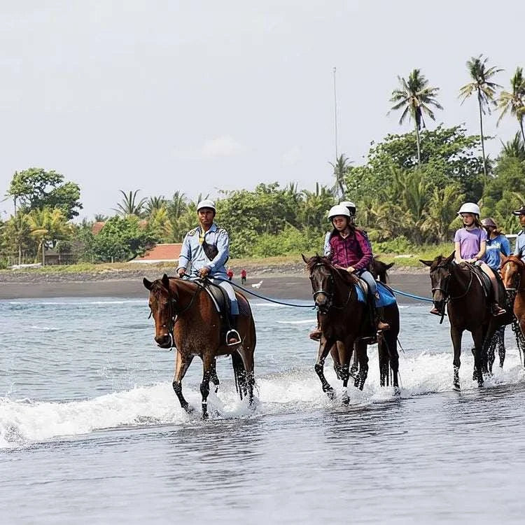 Horseback Riding Experience at Bali's Black Sand Beach