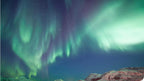 Tromsø: Northern Lights Safari with Expert Guides