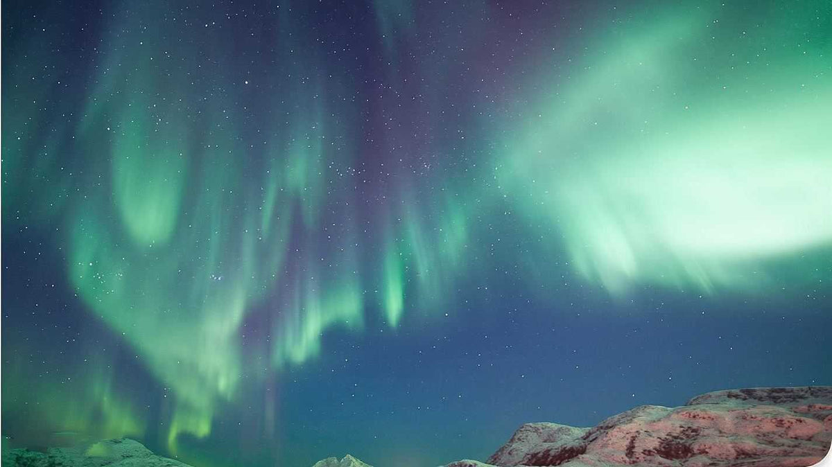 Tromsø: Northern Lights Safari with Expert Guides