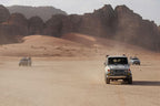Full Day Private Trip to Petra and Wadi Rum, Jordan