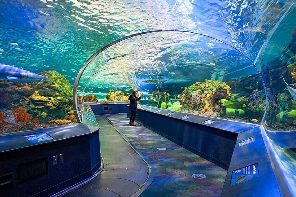 Toronto City, Film Locations and Harbour Day Tour