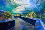 Toronto City, Film Locations and Harbour Day Tour