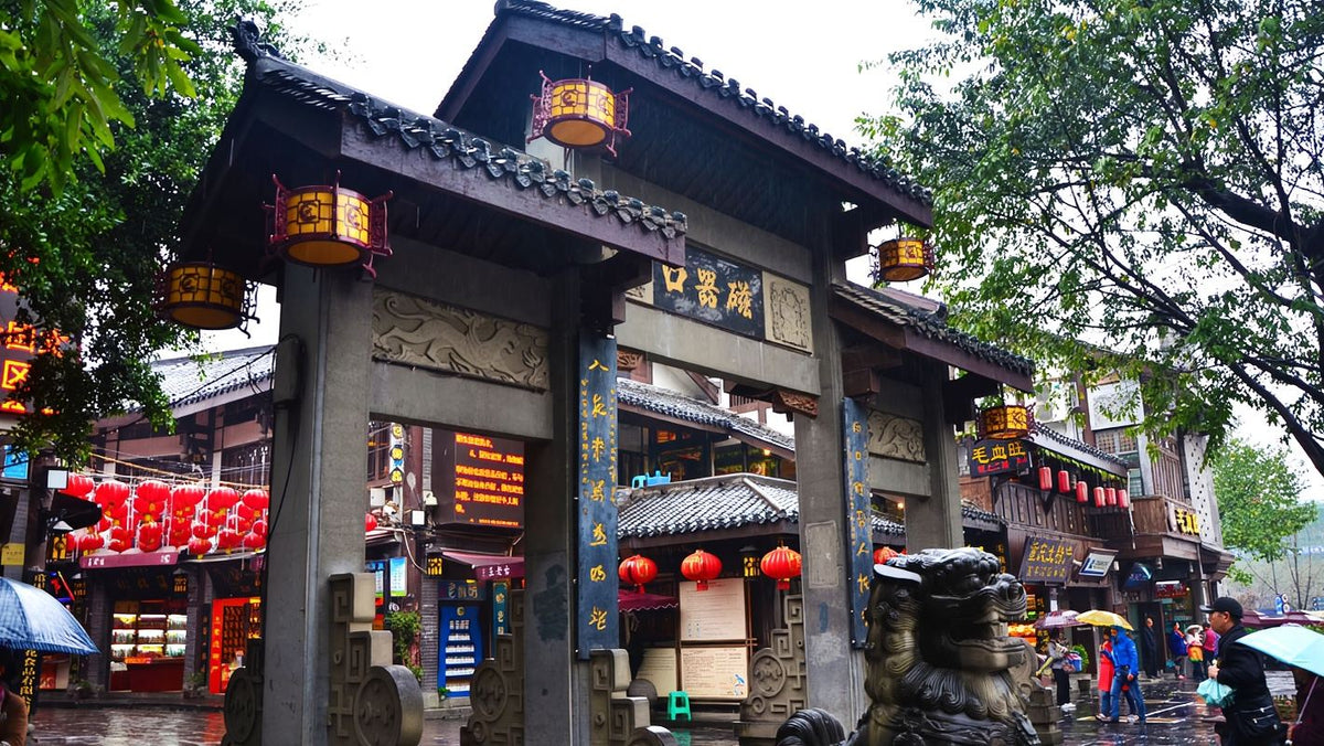 Chongqing 1-Day Tour Yangtze River Cableway Light Rail