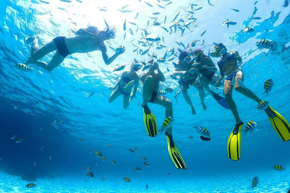 Snorkeling Trip to White Island Ras Mohammed in Sharm El Sheikh
