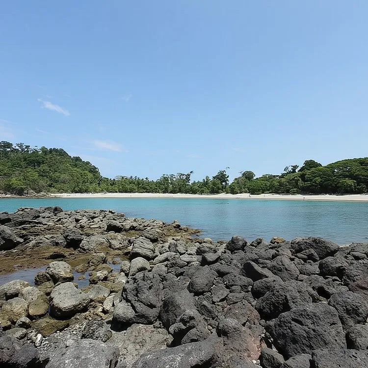 Manuel Antonio National Park Guided Tour