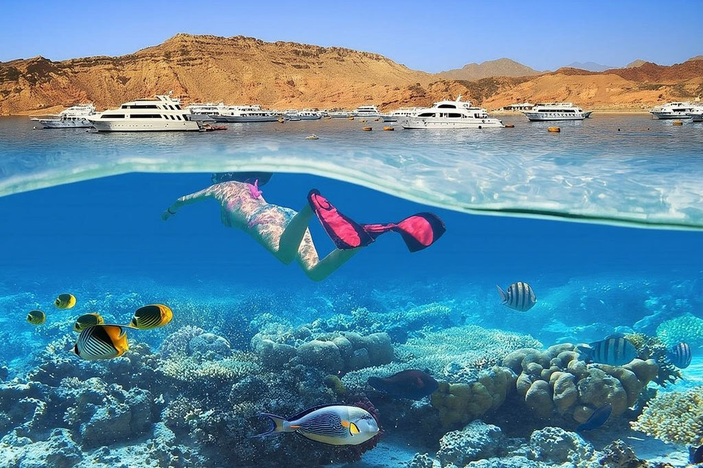 Snorkeling Trip to White Island Ras Mohammed in Sharm El Sheikh