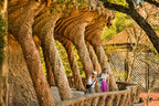 Park Güell Skip The Line Ticket  Guided Tour