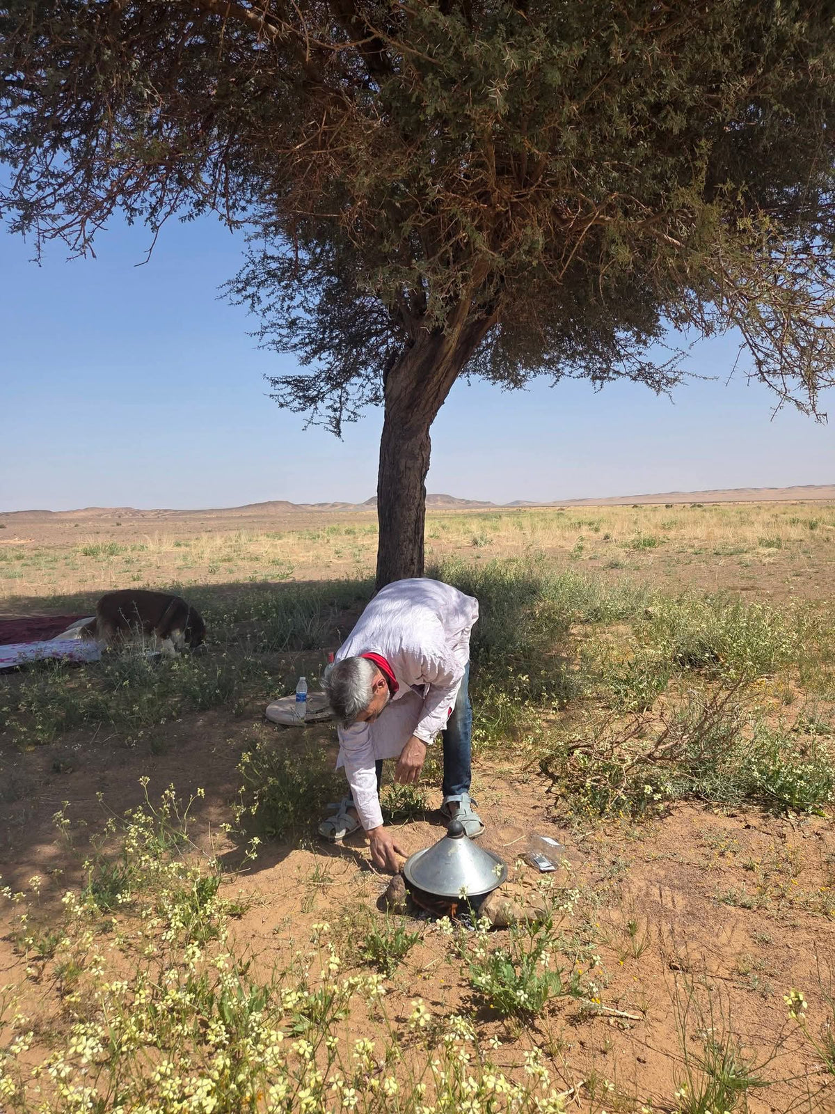 Person preparing a traditional meal beside a metal pot beneath a tree in the open Merzouga desert landscape