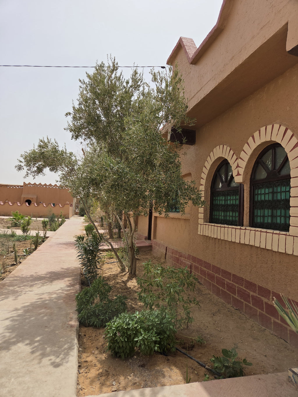 Lac de Sahara Merzouga Hotel Discover the Sahara Desert