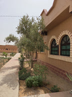 Lac de Sahara Merzouga Hotel Discover the Sahara Desert
