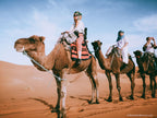 3 day Merzouga desert tour from Marrakech