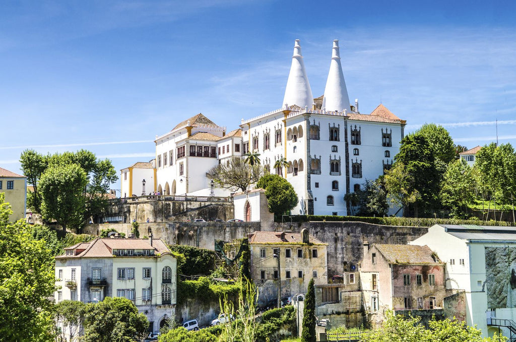 1-day tour to Sintra Quinta da Regaleira National Palace of Pena