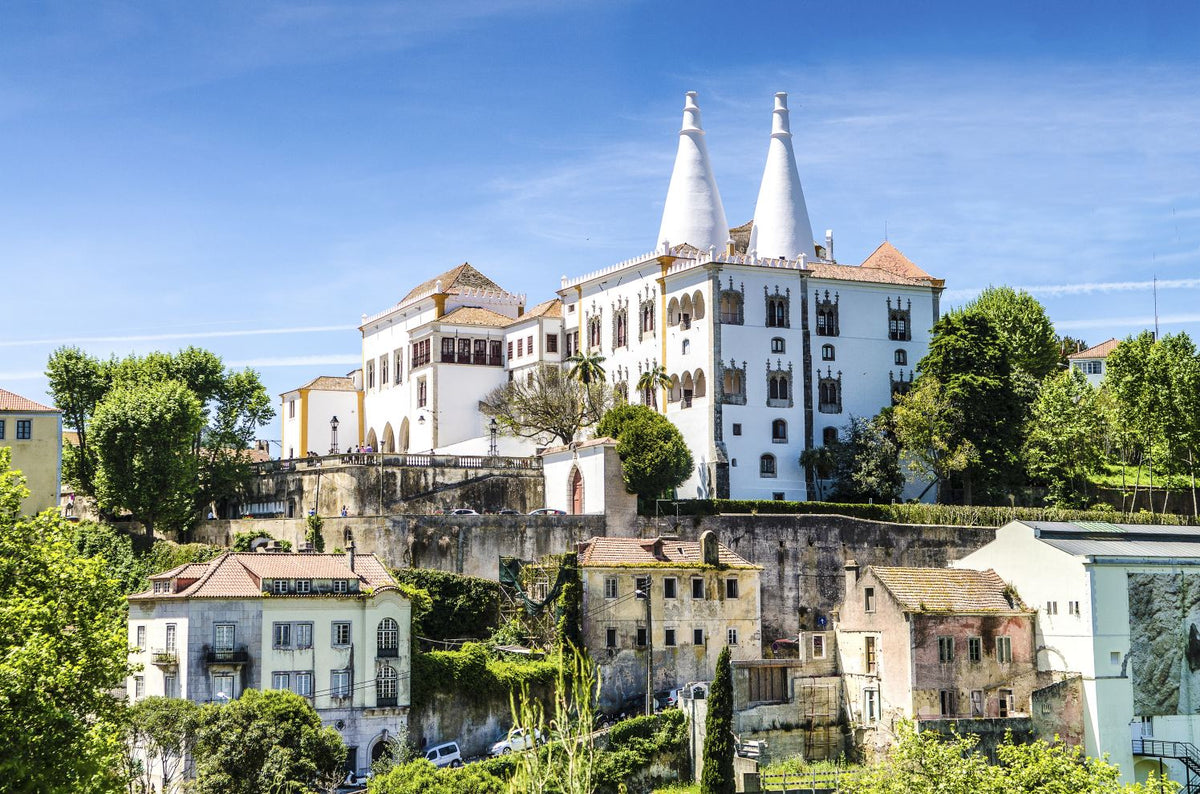 1-day tour to Sintra Quinta da Regaleira National Palace of Pena