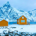 1 day tour to Lofoten Island the yellow house 
