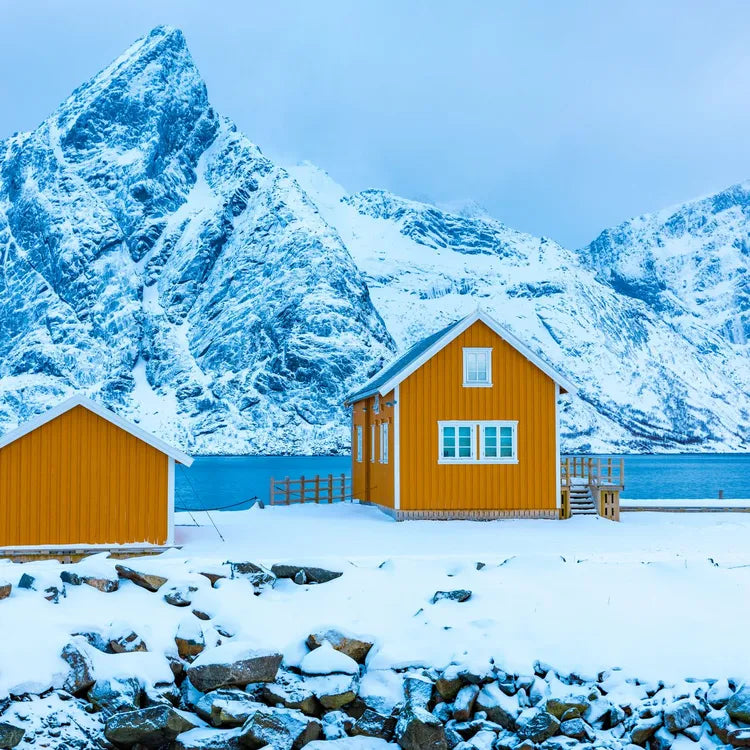 1 day tour to Lofoten Island the yellow house 