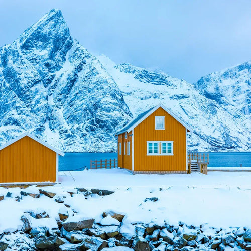 1 day tour to Lofoten Island the yellow house 